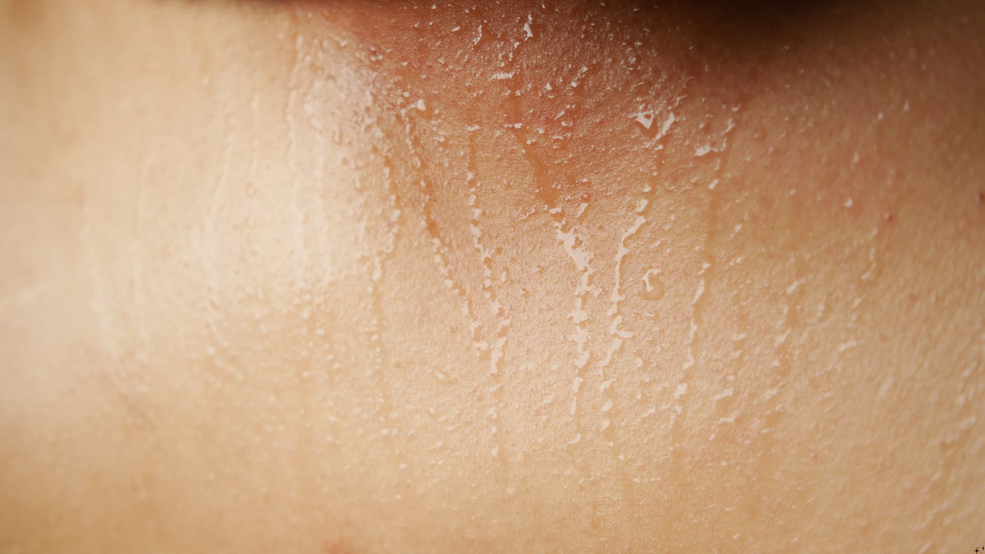 Extreme Nahaufnahme von nackter Haut an Hals und Schlüsselbein, über die feine Wassertropfen und -rinnsale laufen. Warme Hauttöne, weiches, natürliches Licht.