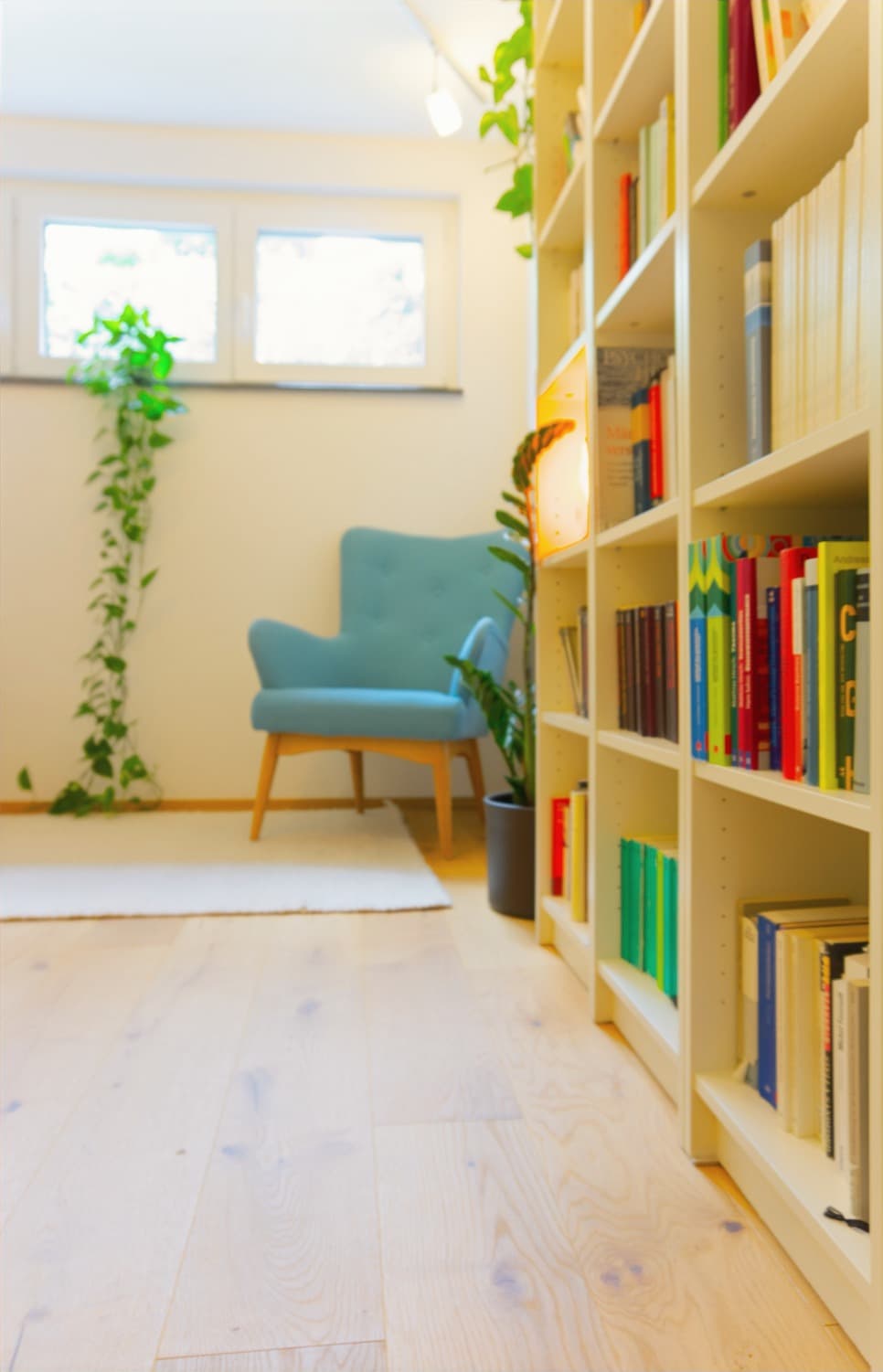 Der Beratungsraum der Praxis: ein türkisblauer Sessel mit Holzbeinen steht auf hellem Holzboden vor einer weißen Wand mit Fenster, links rankt eine Grünpflanze herab, rechts ein hohes helles Bücherregal voller bunter Bücher.